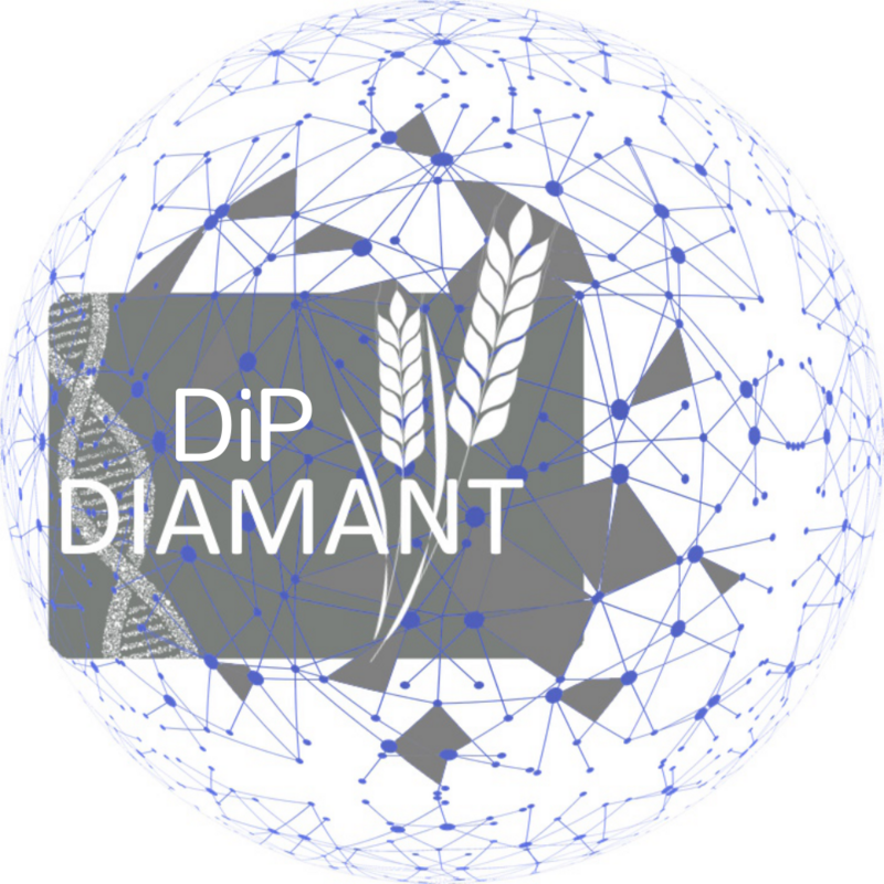 Logo von  Dip-Diamant