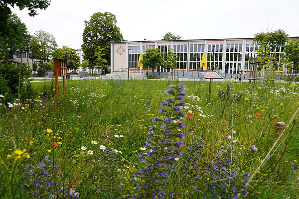 KompetenzGrün